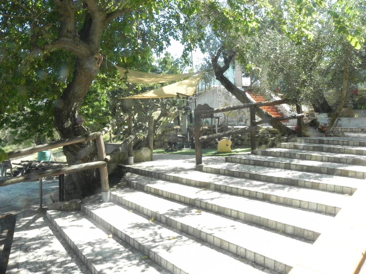 Agriturismo B&B Il Rifugio Di Nino คอนตูร์ซี ภายนอก รูปภาพ