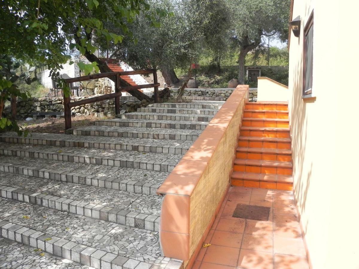 Agriturismo B&B Il Rifugio Di Nino คอนตูร์ซี ภายนอก รูปภาพ