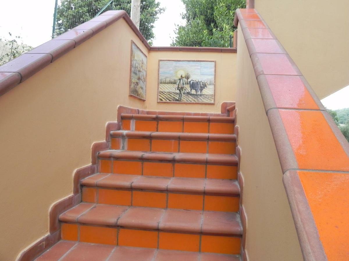 Agriturismo B&B Il Rifugio Di Nino คอนตูร์ซี ภายนอก รูปภาพ